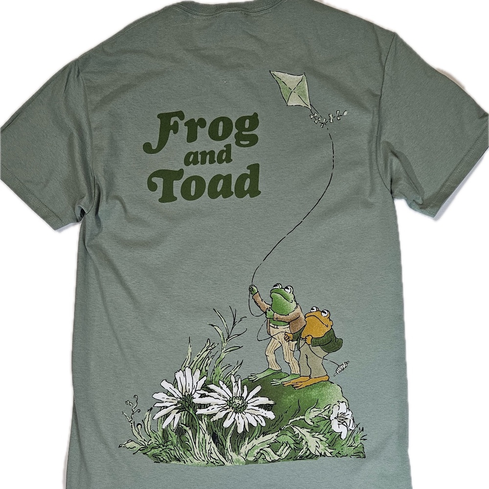 Frog & Toad Kite T-Shirt Mens Small Mint Green Graphic Tee Retro Book Cartoon - Picture 1 of 6